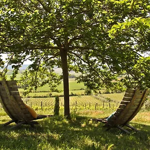 Alloggio per agriturismo Casina Di Cornia, Castellina in Chianti