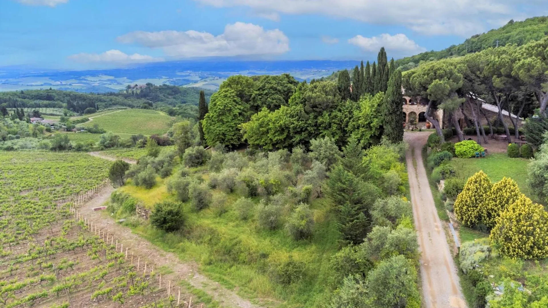 Appartamento Locazione Turistica Cellole - Cellole 1 - CTC150 Castellina in Chianti